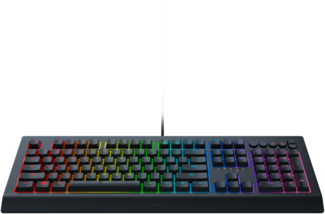 Игровая клавиатура Razer Cynosa V2 Razer Cynosa V2 Игровая клавиатура Razer Cynosa V2 Razer Cynosa V2