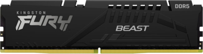 Память оперативная Kingston FURY Beast Black KF548C38BB-16