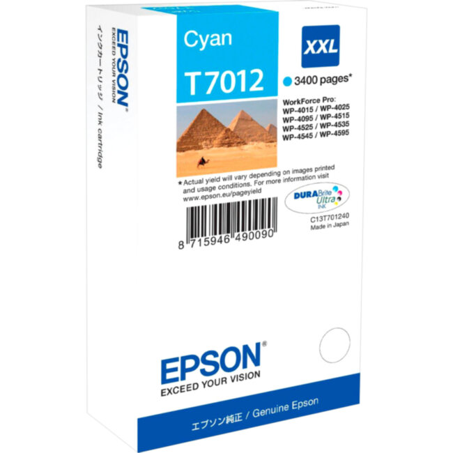 Картридж Epson C13T70124010