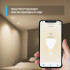 Умная Wi-Fi лампа TP-Link Tapo L610