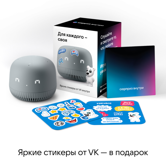 VK Капсула Нео (серый) MY.GAMES B.V. VKSP11GY VK Капсула Нео (серый) MY.GAMES B.V. VKSP11GY