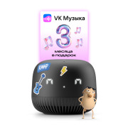 VK Капсула Нео (черный) MY.GAMES B.V. VKSP11BK VK Капсула Нео (черный) MY.GAMES B.V. VKSP11BK