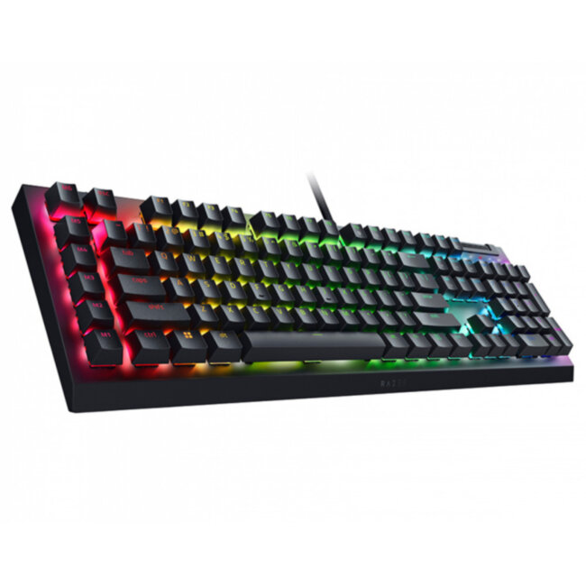 Игровая клавиатура Razer BlackWidow V4 X (Green Switch) - Russian Layout Razer RZ03-04700800-R3R1