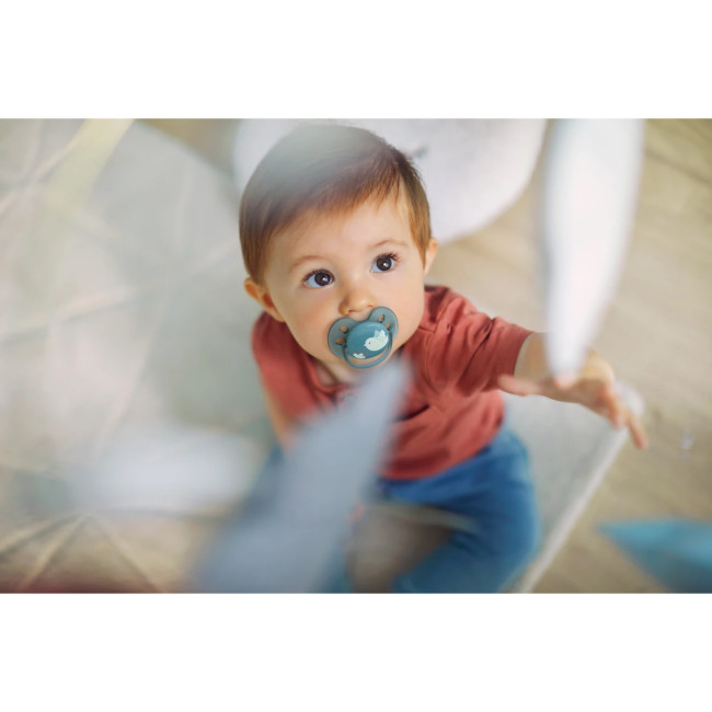 Пустышка ultra soft, птичка, 6-18 мес., 1 шт. Philips SCF092/04 Пустышка ultra soft, птичка, 6-18 мес., 1 шт. Philips SCF092/04