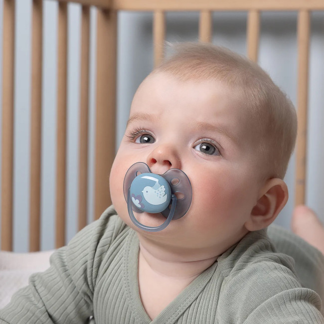 Пустышка ultra soft, птичка, 6-18 мес., 1 шт. Philips SCF092/04 Пустышка ultra soft, птичка, 6-18 мес., 1 шт. Philips SCF092/04