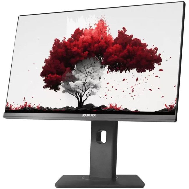 Монитор РДВ ТЕХНОЛОДЖИ RDW2402K/F13B360V2A1 Монитор РДВ ТЕХНОЛОДЖИ RDW2402K/F13B360V2A1