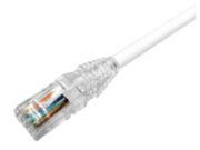 Патч-корд Кат.6, LSZH, 1м CommScope RJ45(m) - RJ45(m) Cat6 U/UTP LSZH 1м белый Патч-корд Кат.6, LSZH, 1м CommScope RJ45(m) - RJ45(m) Cat6 U/UTP LSZH 1м белый