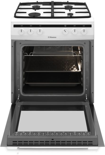 Комбинированная плита HANSA Hansa Integra FCMW68020 Комбинированная плита HANSA Hansa Integra FCMW68020