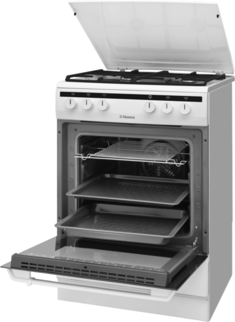 Комбинированная плита HANSA Hansa Integra FCMW68020 Комбинированная плита HANSA Hansa Integra FCMW68020