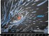 Ноутбук Ноутбук MSI Titan Dragon Edition 18 HX AI A2XWJG-205RU Ноутбук Ноутбук MSI Titan Dragon Edition 18 HX AI A2XWJG-205RU