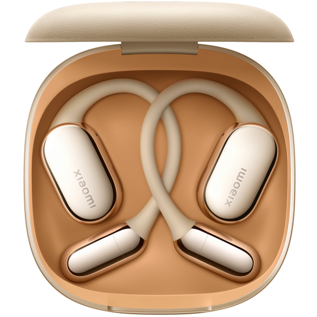 Наушники вкладыши Xiaomi BHR080FGL Наушники вкладыши Xiaomi BHR080FGL