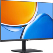 Монитор Huawei Display B3-242H (53060768)