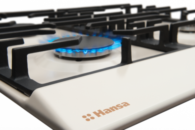 Встраиваемая варочная панель Hansa BHGY610791