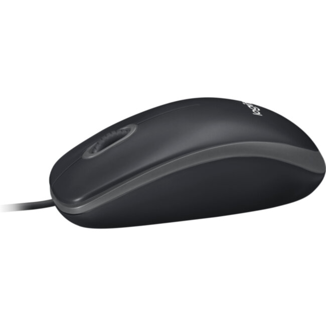Мышь Logitech B100 Optical (910-003357)