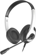 Наушники с микрофоном A4Tech FH100U (PANDA) Наушники с микрофоном A4Tech FH100U (PANDA)