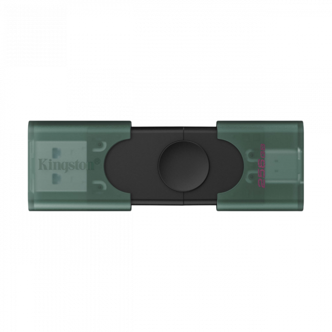 Флеш-накопитель Kingston DTDEG2/256GB