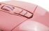 Мышь A4Tech P91S PINK ACTIVATED Мышь A4Tech P91S PINK ACTIVATED
