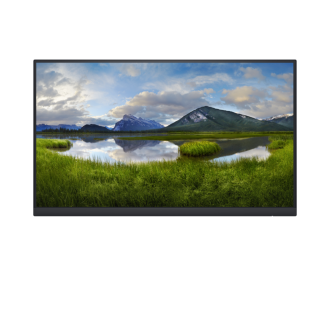 Монитор DELL Professional P2222H Dell P2222H Монитор DELL Professional P2222H Dell P2222H