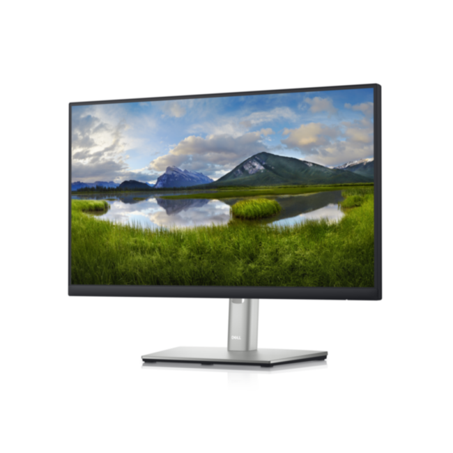 Монитор DELL Professional P2222H Dell P2222H Монитор DELL Professional P2222H Dell P2222H