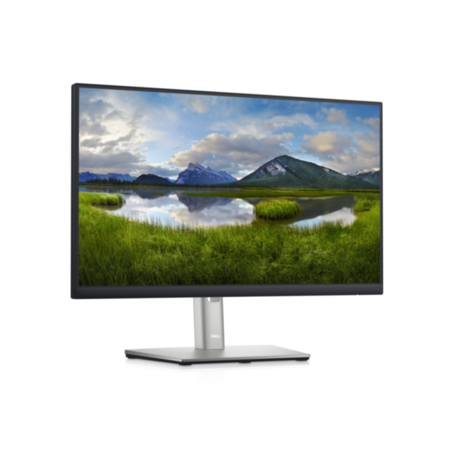 Монитор DELL Professional P2222H Dell P2222H Монитор DELL Professional P2222H Dell P2222H