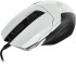 Мышь A4Tech W70 MAX (PANDA WHITE) Мышь A4Tech W70 MAX (PANDA WHITE)