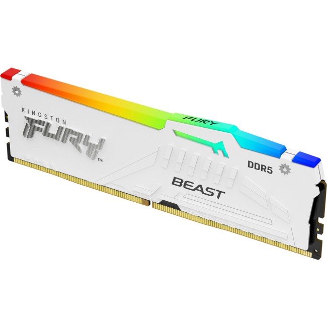 Память оперативная Kingston FURY Beast KF560C30BWEA-16 Память оперативная Kingston FURY Beast KF560C30BWEA-16