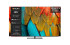 Телевизор 65'' Skyworth Skyworth 65SXF9850