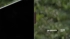 Телевизор 65'' Skyworth Skyworth 65SXF9850