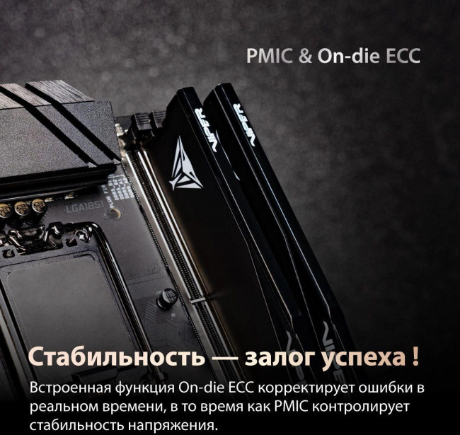 Память DDR5 2x32GB 6000MHz Patriot VEUR564G6028K