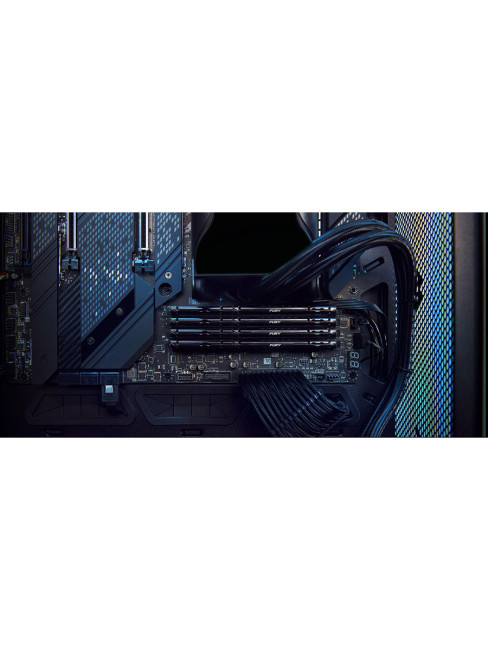 Память оперативная Kingston KF556C36BBE-64 Память оперативная Kingston KF556C36BBE-64