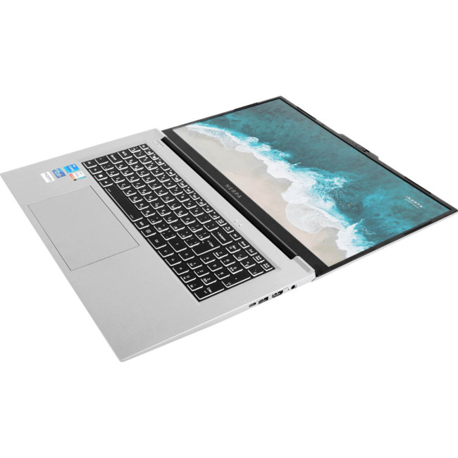Ноутбук Nerpa Caspica I552-17