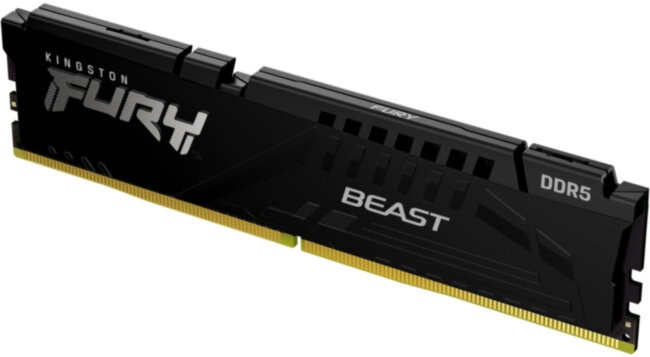 Память оперативная Kingston FURY Beast Black KF548C38BB-8