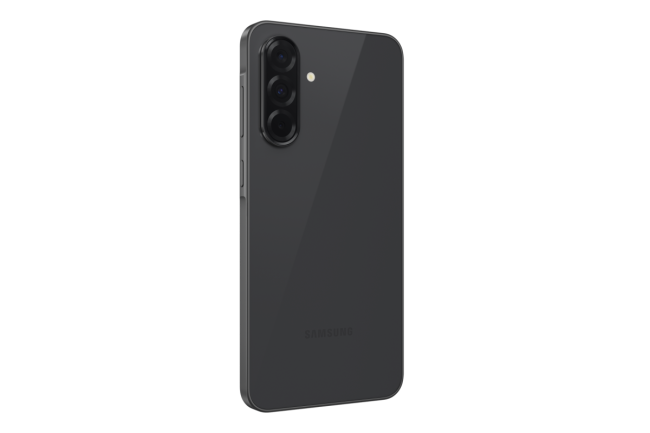 Смартфон Samsung Electronics SM-A366EZKDCAU