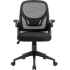 Defender Офисное кресло Office Черный,сетка,регулир.подлокот. Defender 64317