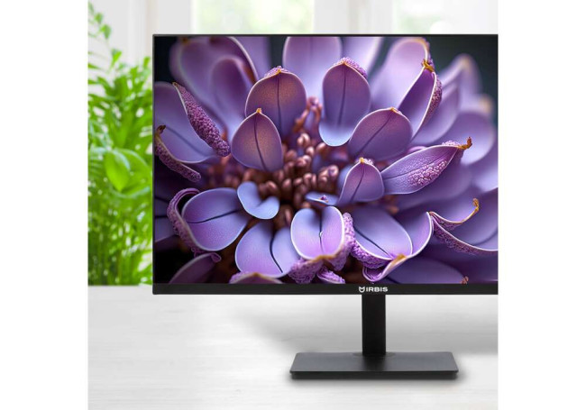 Монитор IRBIS ISM24FIDVesa