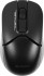 Мышь A4Tech FB12 BLACK Мышь A4Tech FB12 BLACK