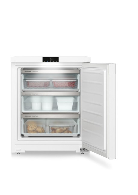 Морозильная камера Liebherr Liebherr Fe 1003-20 001