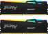 Память оперативная Kingston FURY Beast RGB XMP Память оперативная Kingston FURY Beast RGB XMP