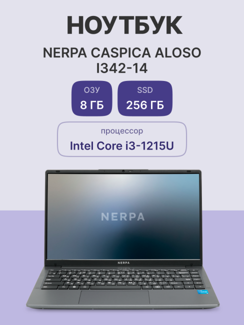 Ноутбук Nerpa Caspica  I342 (I342-14MB082602G)