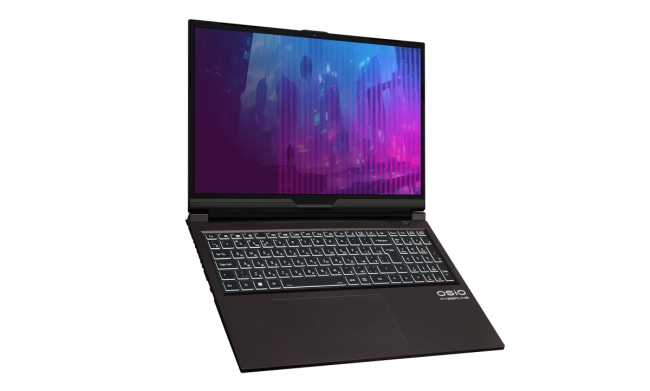Ноутбук Ноутбук OSIO CyberLine C160i-003