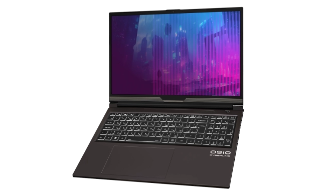 Ноутбук Ноутбук OSIO CyberLine C160i-003