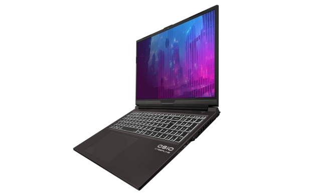 Ноутбук Ноутбук OSIO CyberLine C160i-003