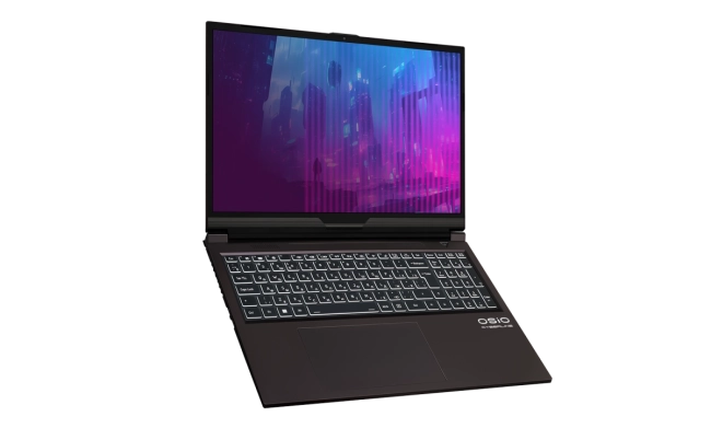 Ноутбук Ноутбук OSIO CyberLine C160i-004