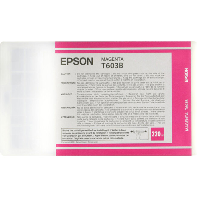 Картридж Epson C13T603B00