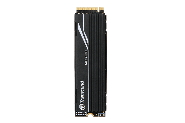 Твердотельный накопитель Transcend SSD MTE250H Твердотельный накопитель Transcend SSD MTE250H