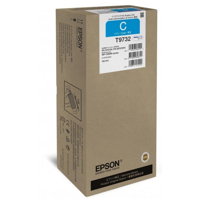 Картридж Epson C13T973200