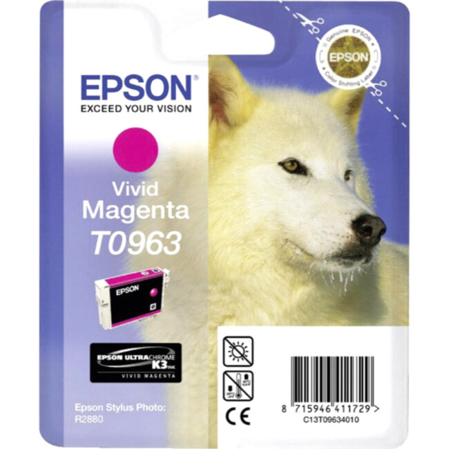 Картридж Epson C13T09634010