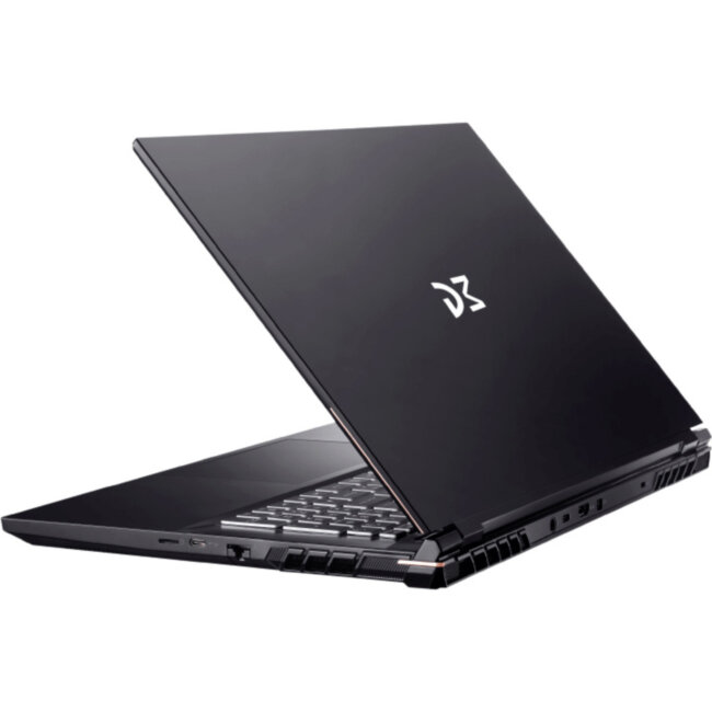 Ноутбук Dream Machines RS3060-17EU50 Ноутбук Dream Machines RS3060-17EU50