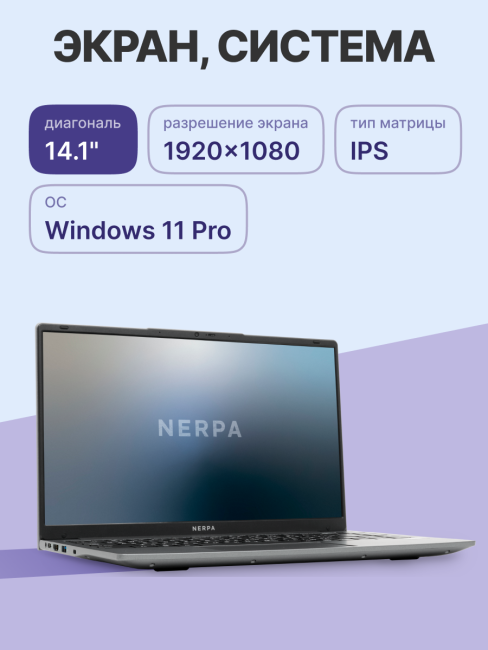 Ноутбук Nerpa Caspica A342 (A342-14BB165202G)