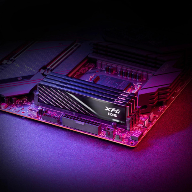 Память DDR5 2x16GB 6400MHz ADATA AX5U6400C3216G-DTLABBK